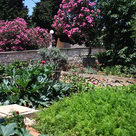 By The Sea - Murter - 5141 *