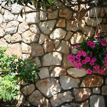 Daire By The Sea - Murter - 5141 Tisno